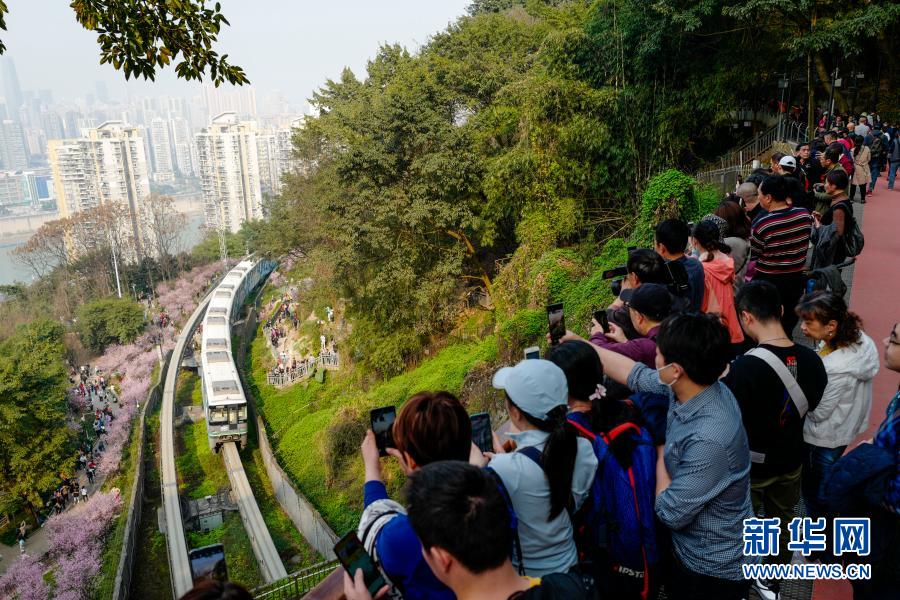 【城市远洋】重庆：一路繁花相送 带你驶向春天