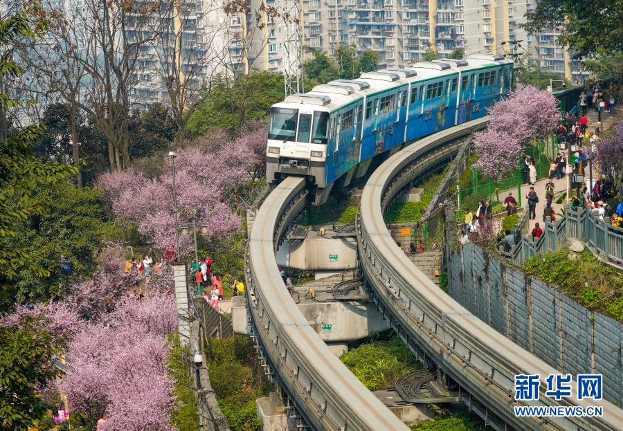 【城市远洋】重庆：一路繁花相送 带你驶向春天