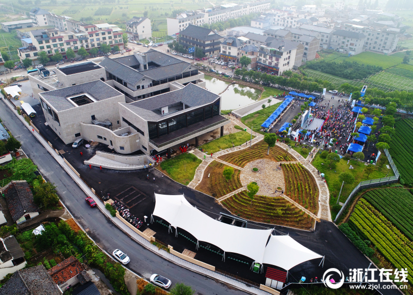 松阳茶香小镇绘就茶乡风景