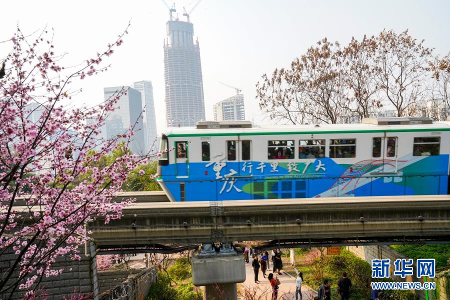 【城市远洋】重庆：一路繁花相送 带你驶向春天