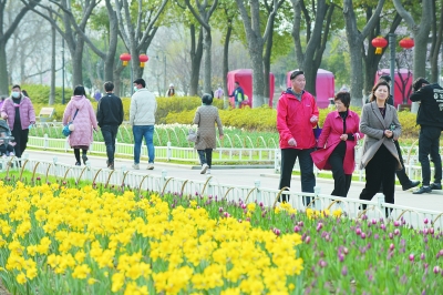 花香春色美 踏青游人醉