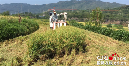 已过审【区县联动】【綦江】綦江：农机服务组织助力撂荒地变废为宝【区县联动列表】綦江农机服务组织助力撂荒地变废为宝