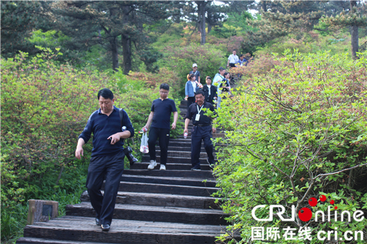 【湖北】【CRI原创】黄冈大别山世界地质公园国际专家组实地考察龟峰山园区