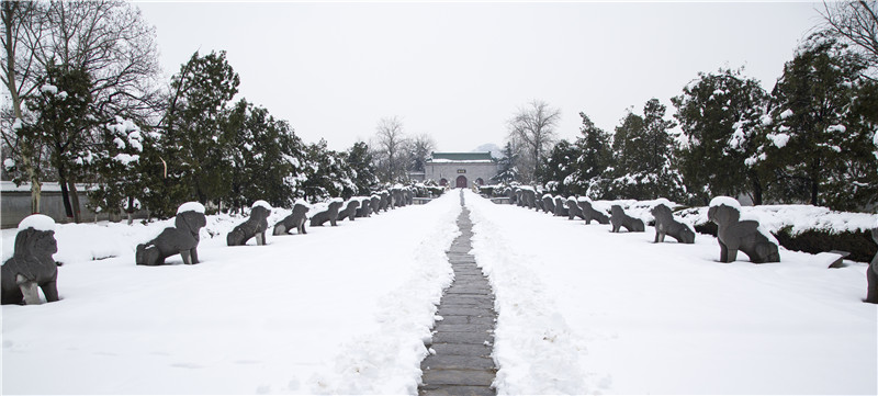 【原创】河南新乡：雪后潞王陵_fororder_潞王陵神道.JPG