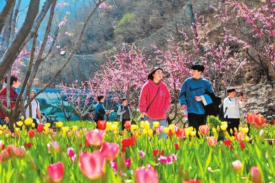 河南省气象局发布花期预报