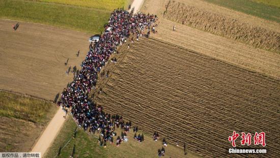 难民欧洲梦破碎 3.5万人无奈离欧洲回返家园(图)