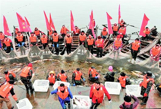 湖北公安：玉湖冬捕“丰收鱼”