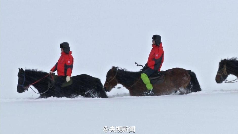 新疆阿勒泰连续降雪14天 马儿成了“潜雪艇”(组图)