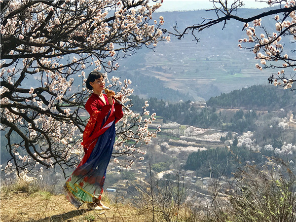 西安市临潼区：官沟杏花梁 赏春好地方