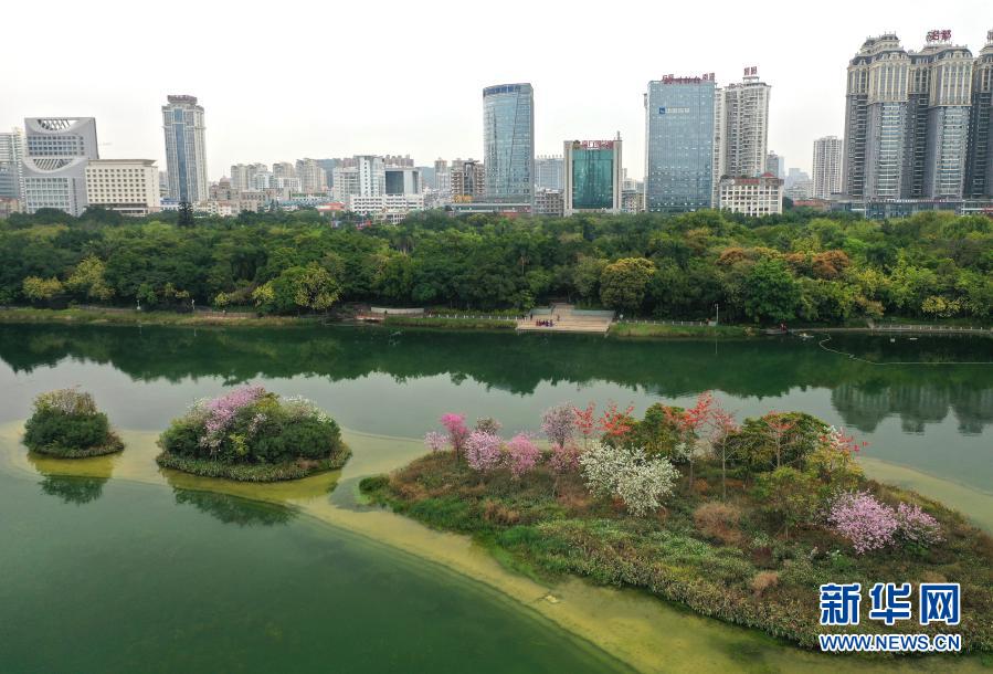 一湖春水鲜花红