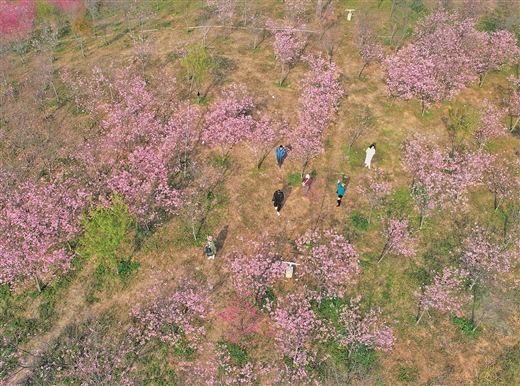 春暖花开 万物复苏