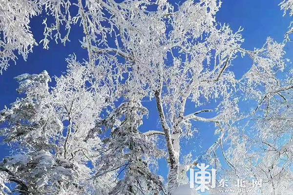 春季 到雪乡来看雪