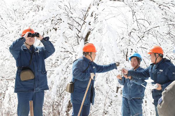 国网宝鸡供电公司：铁军雪后巡线保供电  秦岭山电网安然无恙