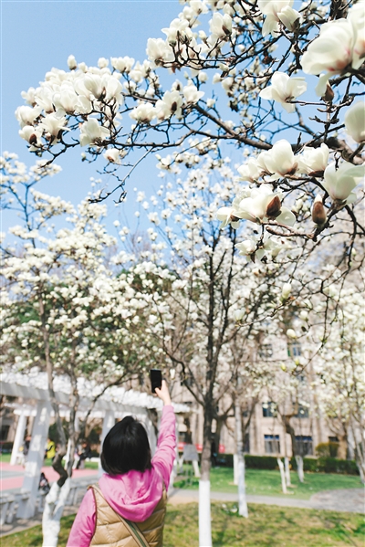 【中首 陕西 图】春天一起去赏花吧！ 西安上榜全国十大最喜爱踏青赏花游城市_fororder_res03_attpic_brief