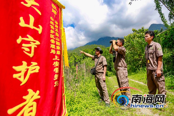 还未审核【琼岛先锋图文列表】【即时快讯】五指山的“大山守护者”