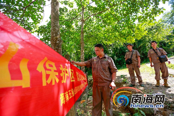 还未审核【琼岛先锋图文列表】【即时快讯】五指山的“大山守护者”