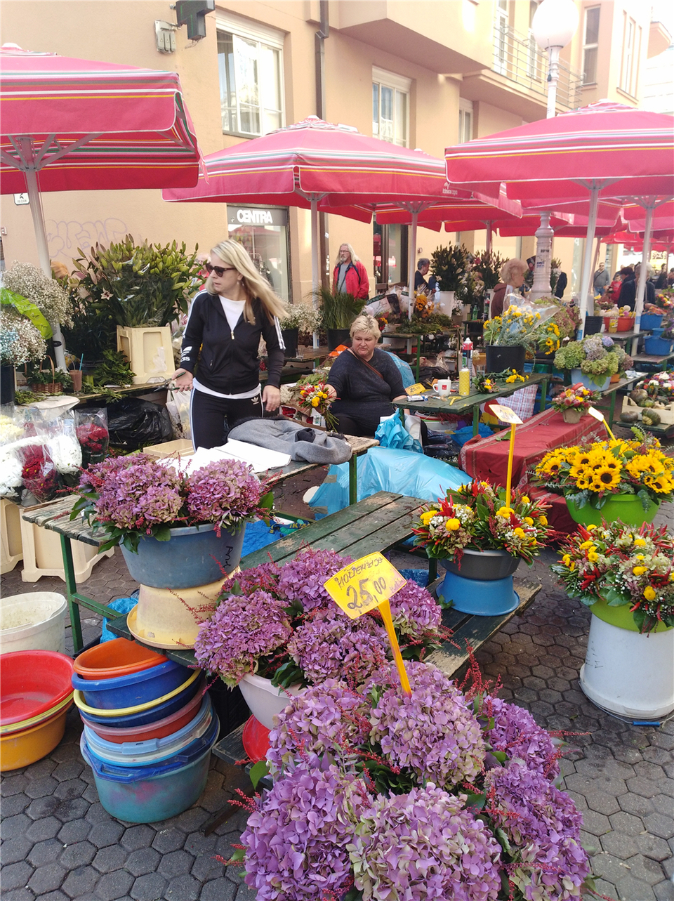 The flower booth on streets of Zagreb, Croatia_fororder_3卖鲜花的商贩