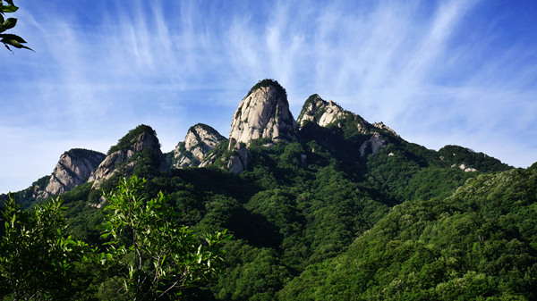 河洛文化节期间 栾川8大景区施行门票半价优惠政策