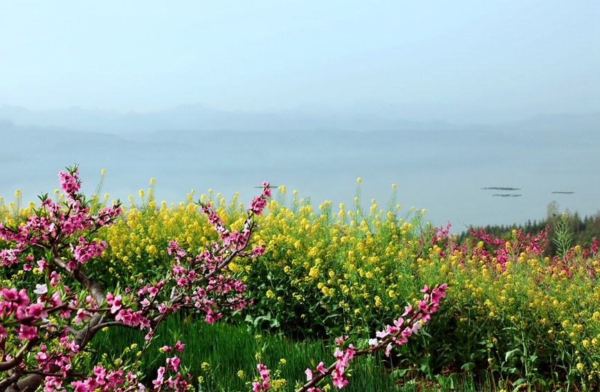 【城市远洋】洛阳嵩县：待到春花烂漫时