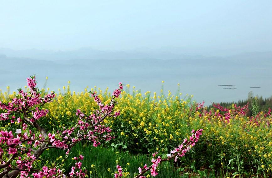 【城市远洋】洛阳嵩县：待到春花烂漫时