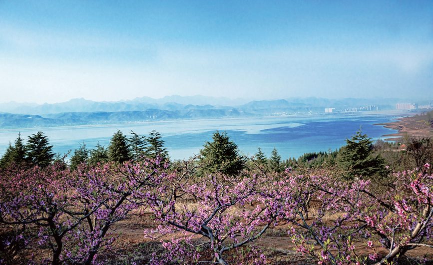 【城市远洋】洛阳嵩县：待到春花烂漫时