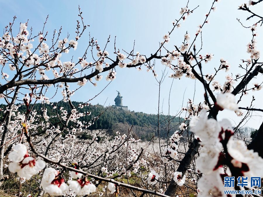 河南永城：“旅游+农业”助力乡村振兴