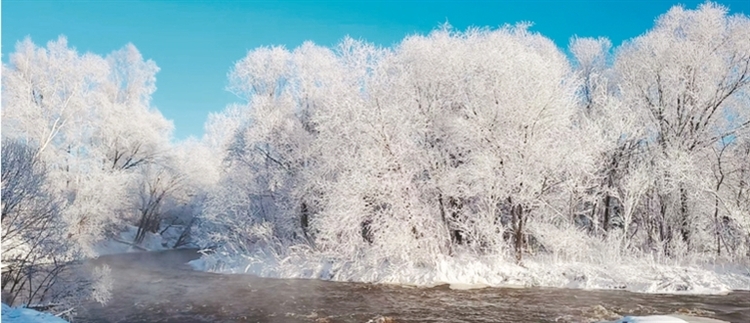 春日龙江 雪仍在烧