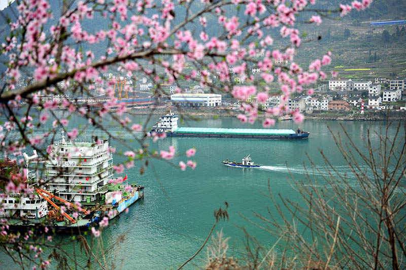 湖北宜昌：长江西陵峡 春景如画廊