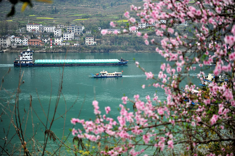 湖北宜昌：长江西陵峡 春景如画廊