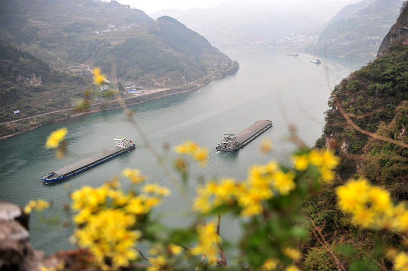 湖北宜昌：长江西陵峡 春景如画廊