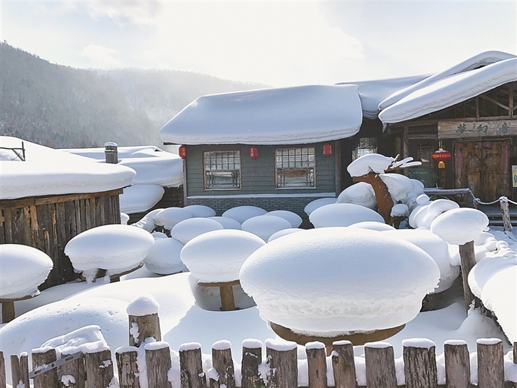 春日龙江 雪仍在烧