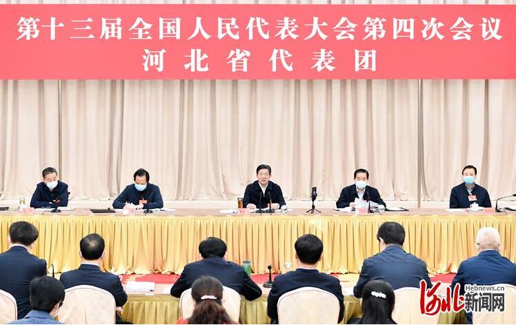 河北省代表团审查计划报告和预算报告 王东峰许勤等发言