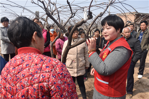 “云课堂”直播拉开渭南市第29届“科技之春”宣传月活动帷幕