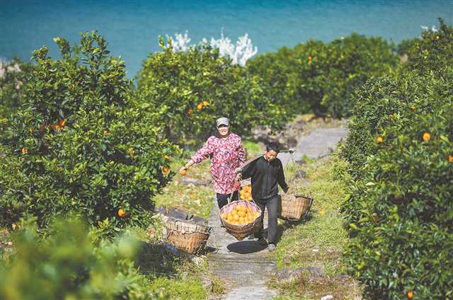 “两岸青山·千里林带”扮靓母亲河