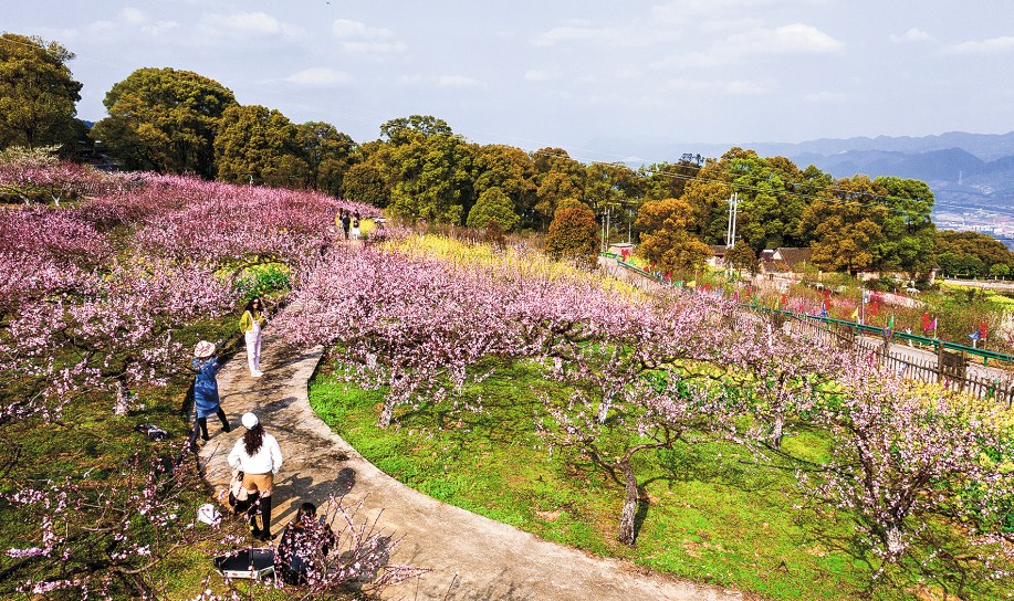 【城市远洋带图】北碚：春光无限好 踏青赏花正当时