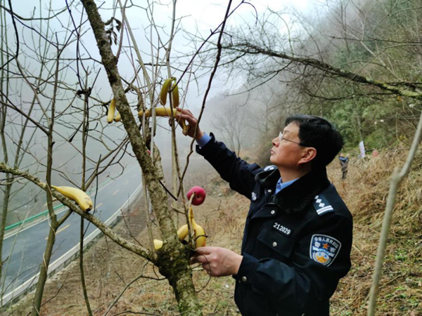 【原创】重庆：助力生态文明建设 城口县“一村一警”落地生根_fororder_图片2