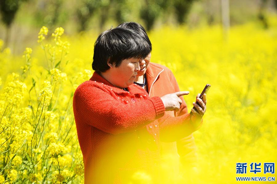 信阳市罗山县：锦绣大地春意浓