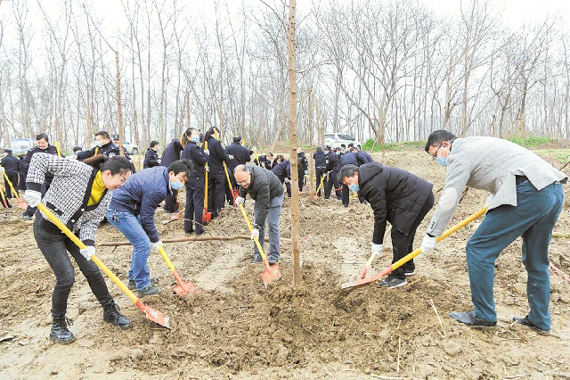 义务植树40载染绿荆楚山川 湖北森林覆盖率增长21.54个百分点_fororder_微信图片_20210312081622