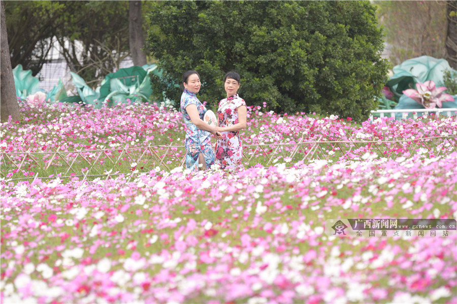 北海：春满园醉游人(组图)