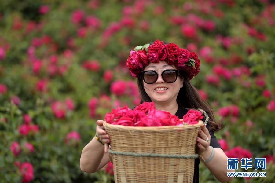 云南安宁：五月的鲜花 甜蜜的生活