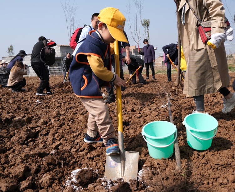 （有修改）2021白鹿原影视城植树季活动圆满举办