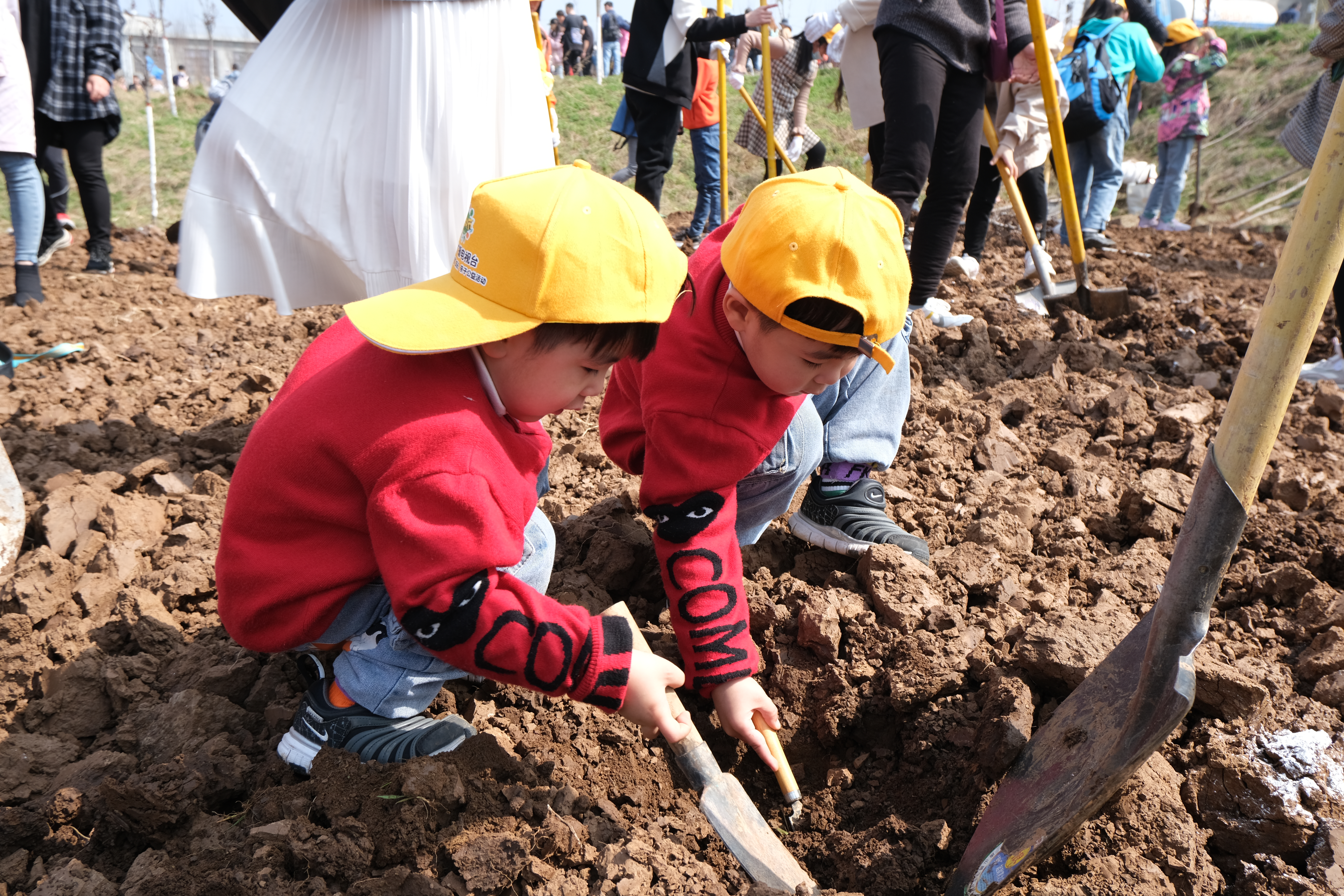 （有修改）2021白鹿原影视城植树季活动圆满举办