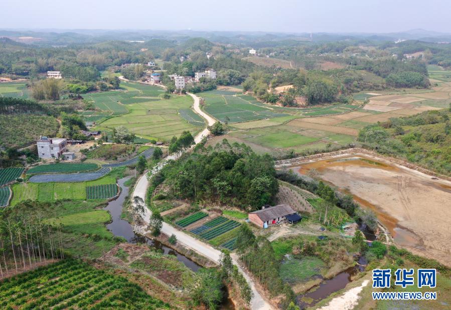 钦州：田园风光美