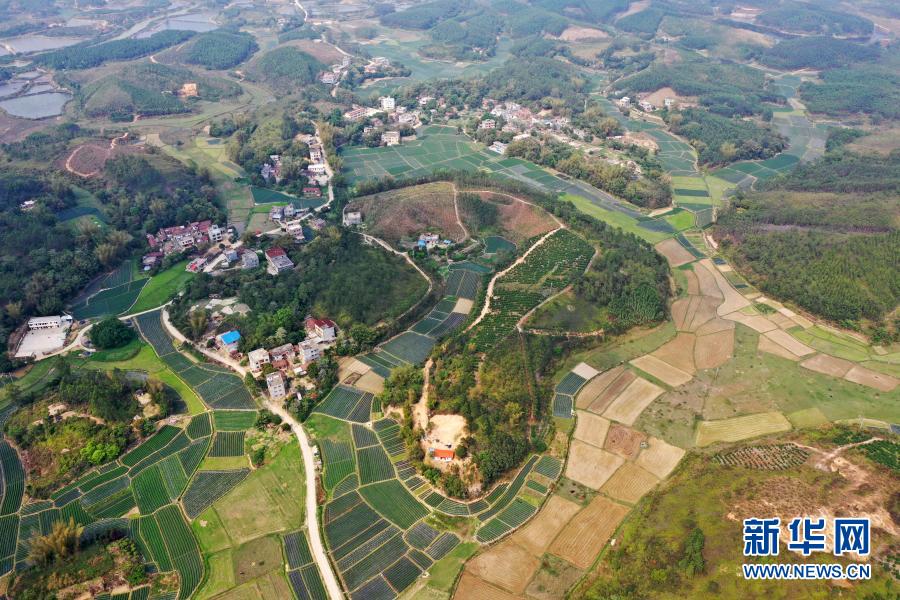 钦州：田园风光美