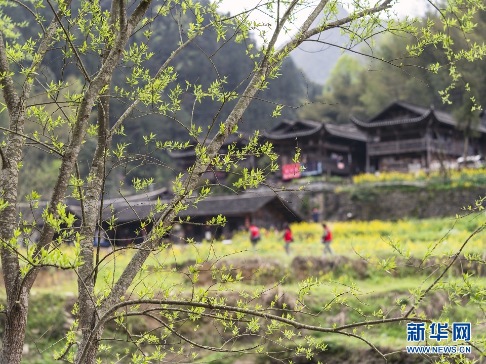 湖北：中国土家泛博物馆电缆入地工程全面展开