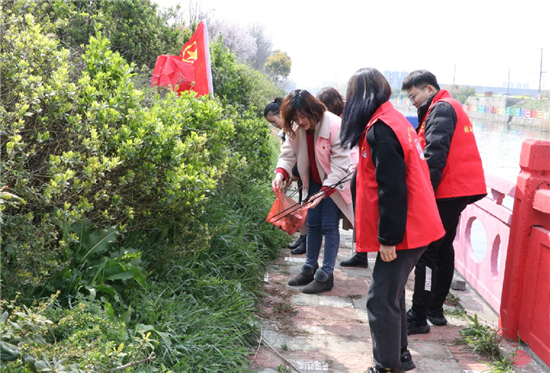 （B 文旅列表 三吴大地泰州 移动版）泰州姜堰张甸举办“同栽一点青 ‘甸’亮满城春”公益植树暨巡河护河活动