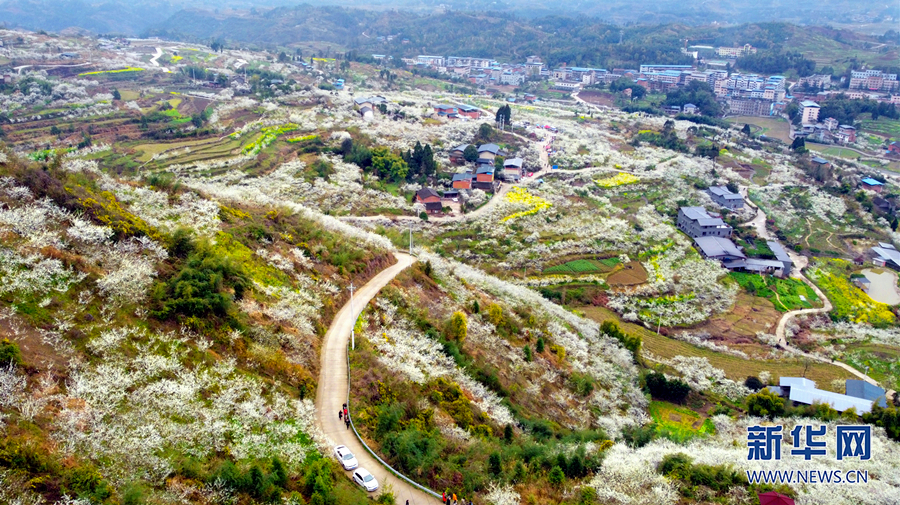 【城市远洋】三月山城春光好 梁平赏花正当时