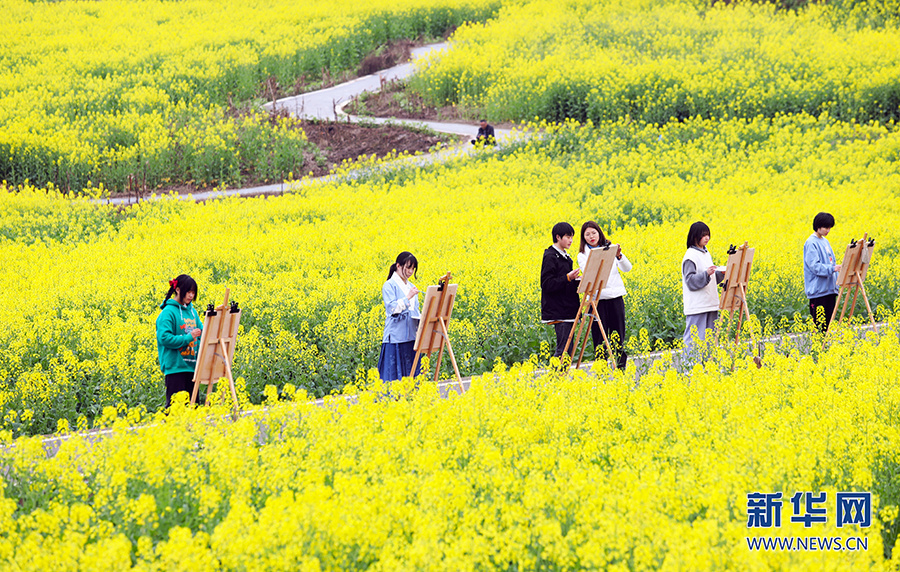 【城市远洋】三月山城春光好 梁平赏花正当时