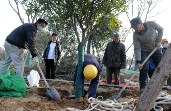 为绿色充“植”、给全运添绿，经开在行动