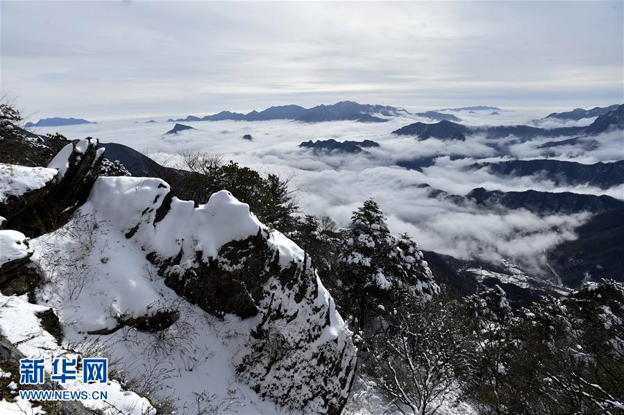 神农架多地现云海奇观(高清组图)